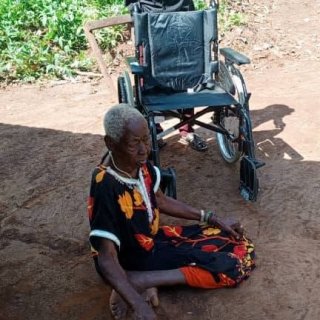 Elderly Disabled