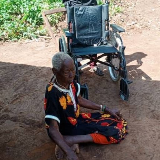 Elderly Disabled