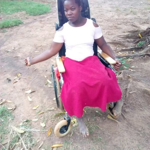 A Disabled Girl